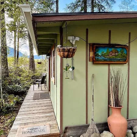 Mt Rainier Little Green Cabin On Big Creek! Ashford Exterior photo