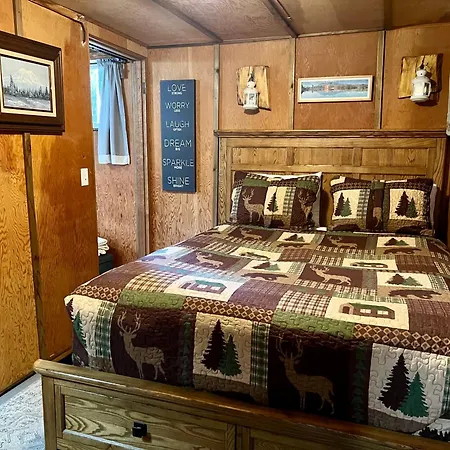 Mt Rainier Little Green Cabin On Big Creek! Ashford Exterior photo