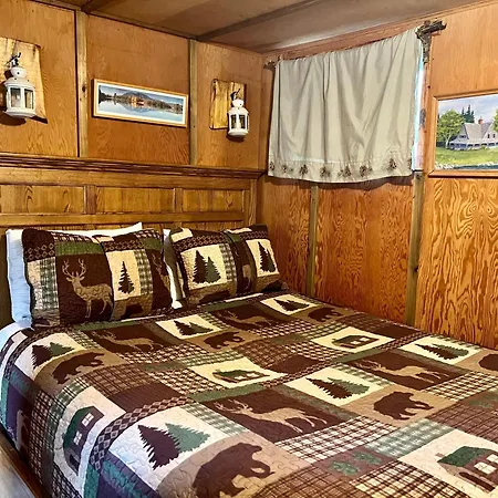 Mt Rainier Little Green Cabin On Big Creek! Ashford Exterior photo