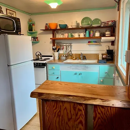 Mt Rainier Little Green Cabin On Big Creek! Ashford Exterior photo