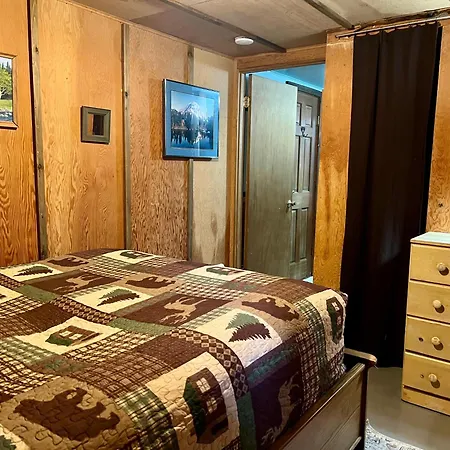Mt Rainier Little Green Cabin On Big Creek! Ashford Exterior photo