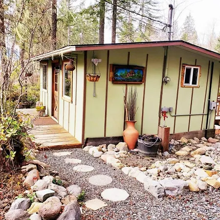 Mt Rainier Little Green Cabin On Big Creek! Ashford Exterior photo