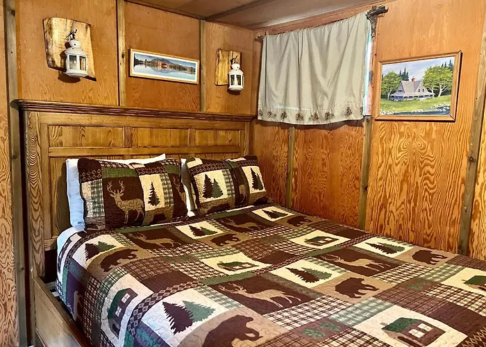 Mt Rainier Little Green Cabin On Big Creek!