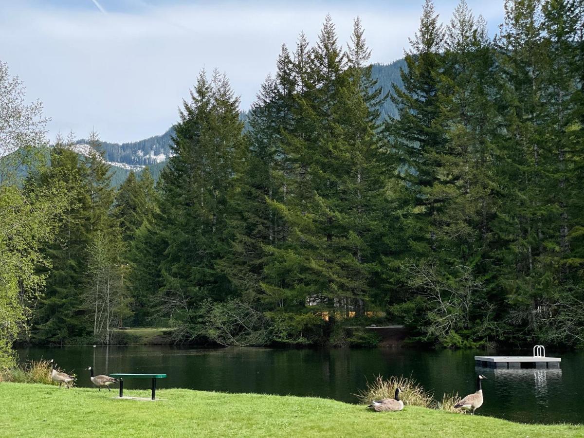 Mt Rainier Little On Big Creek! Ashford