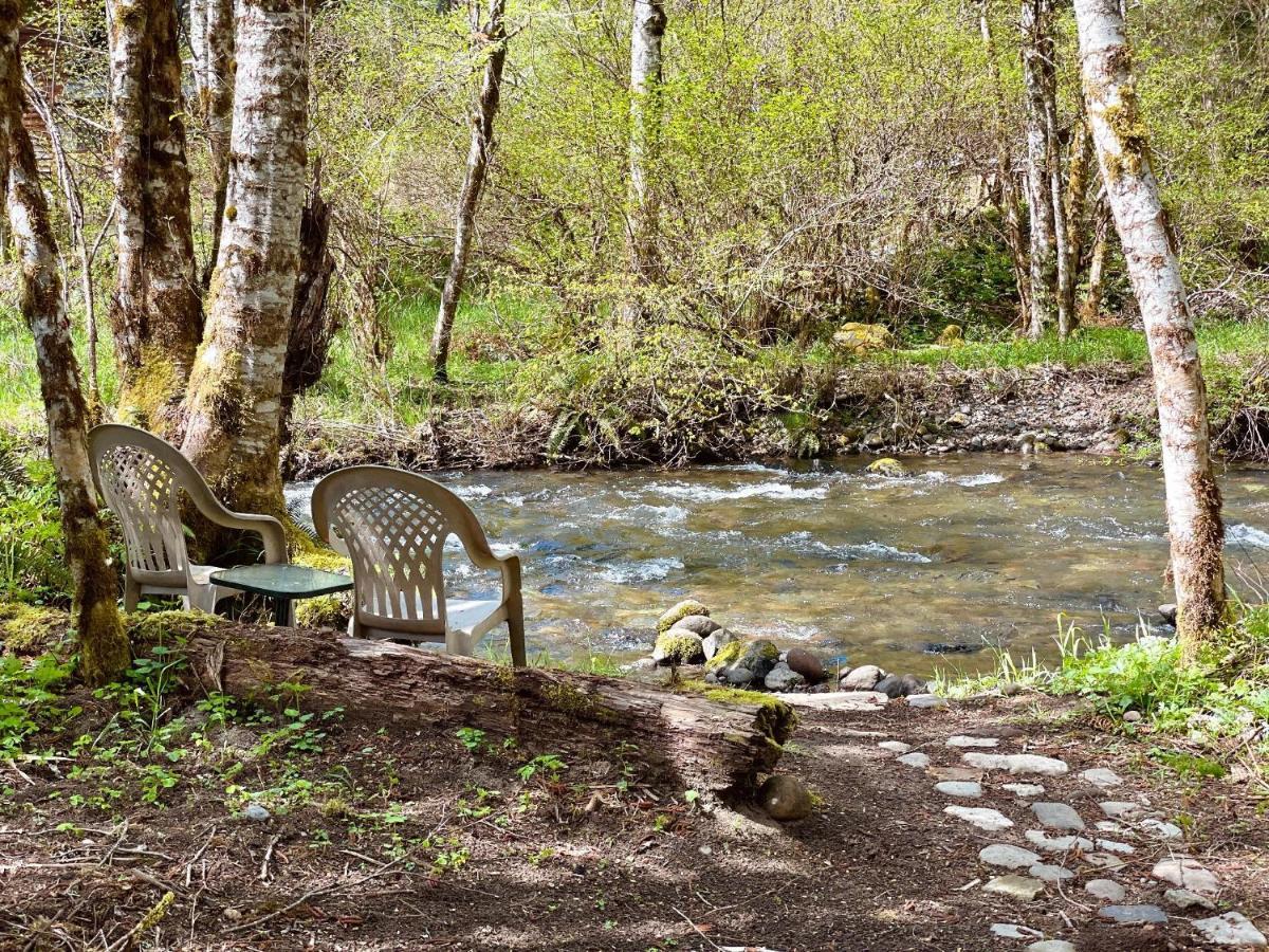 Mt Rainier Little On Big Creek! Holiday home *