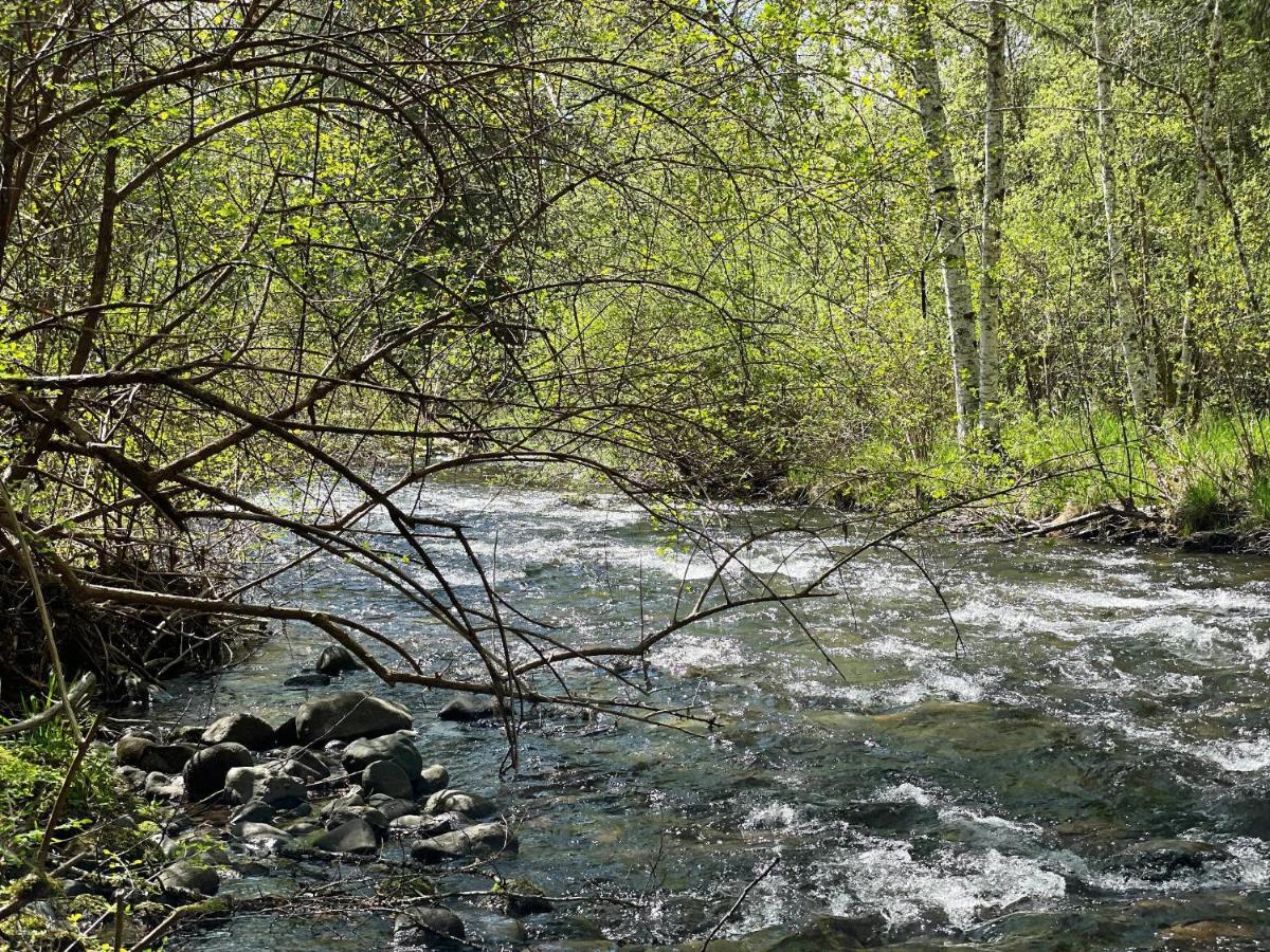 Mt Rainier Little On Big Creek! Holiday home Ashford