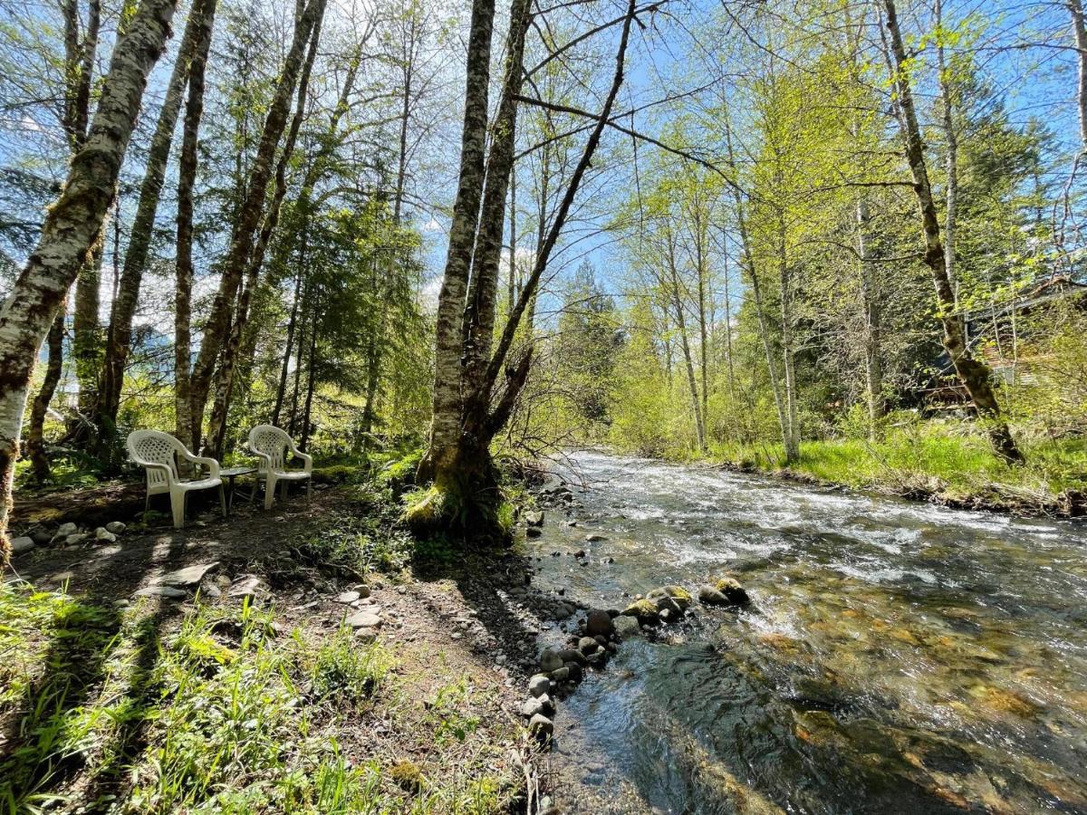 Mt Rainier Little On Big Creek! Holiday home Ashford