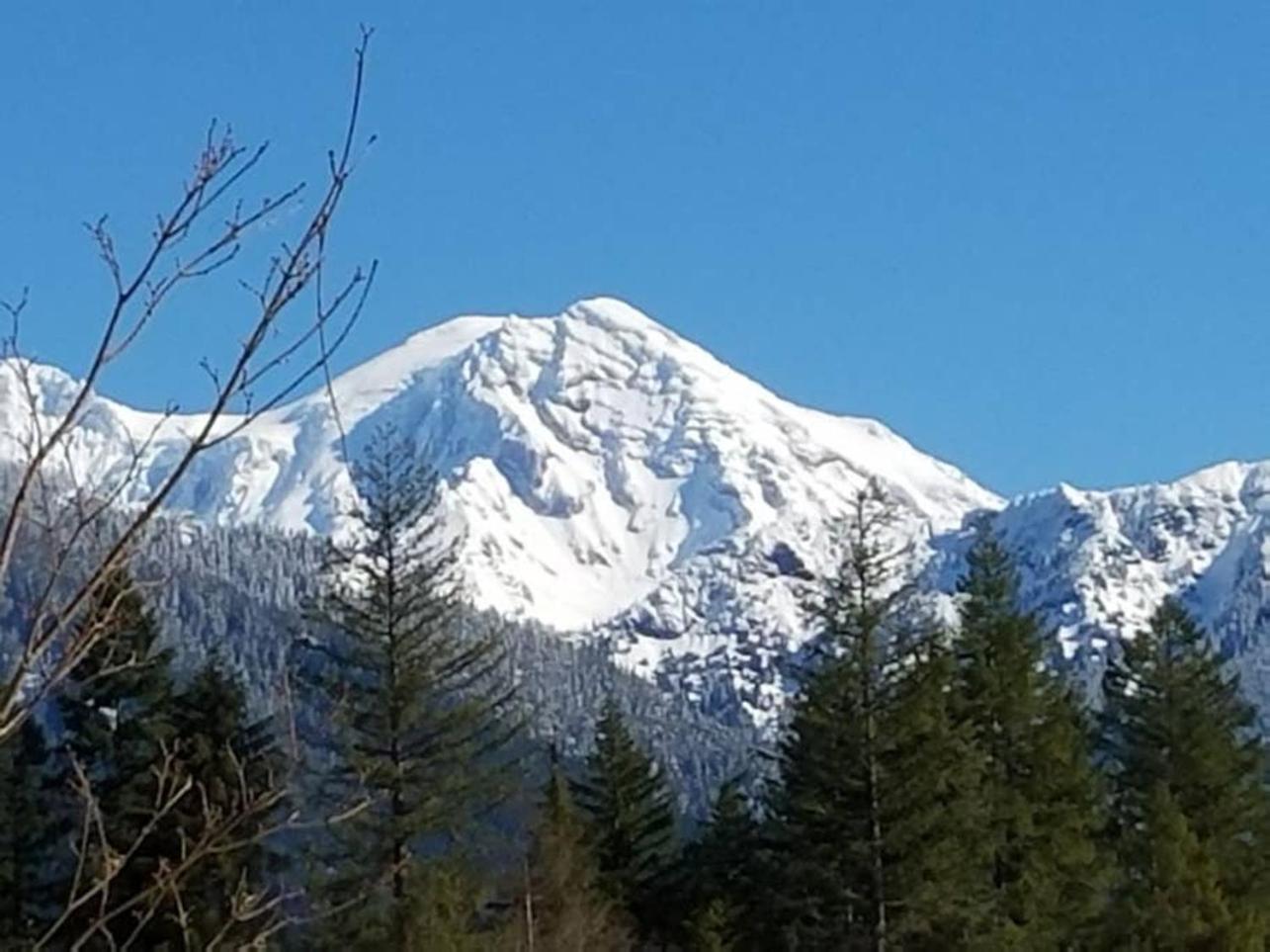 Mt Rainier Little On Big Creek! Holiday home Ashford